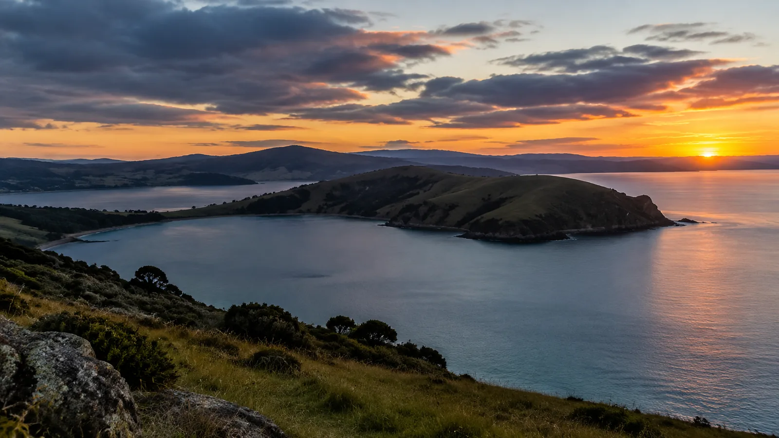 Otago Peninsula