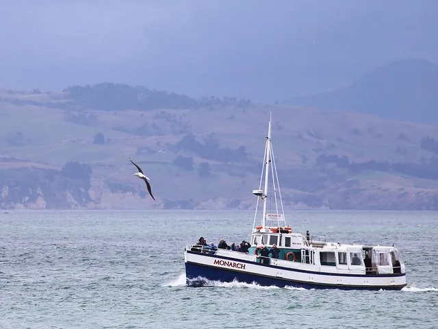 A bird flies near a tour boat carrying passengers on the ocean.