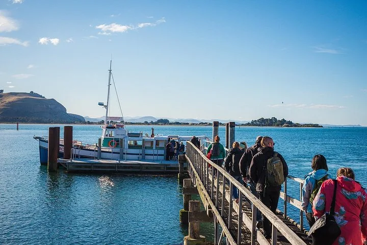 Passengers walk along a wooden pier towards a waiting tour boat.