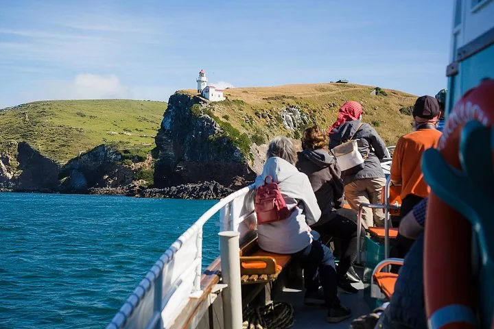 Tourists on a boat looking towards a lighthouse on a grassy cliff.