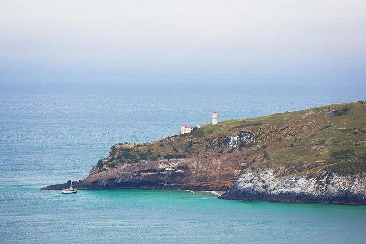 A lighthouse sits atop a rocky, grassy cliff next to the ocean.